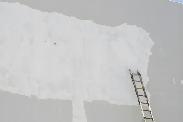 exterior wall primer application delhi